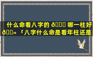 什么命看八字的 🐝 哪一柱好 🌻 「八字什么命是看年柱还是日柱」